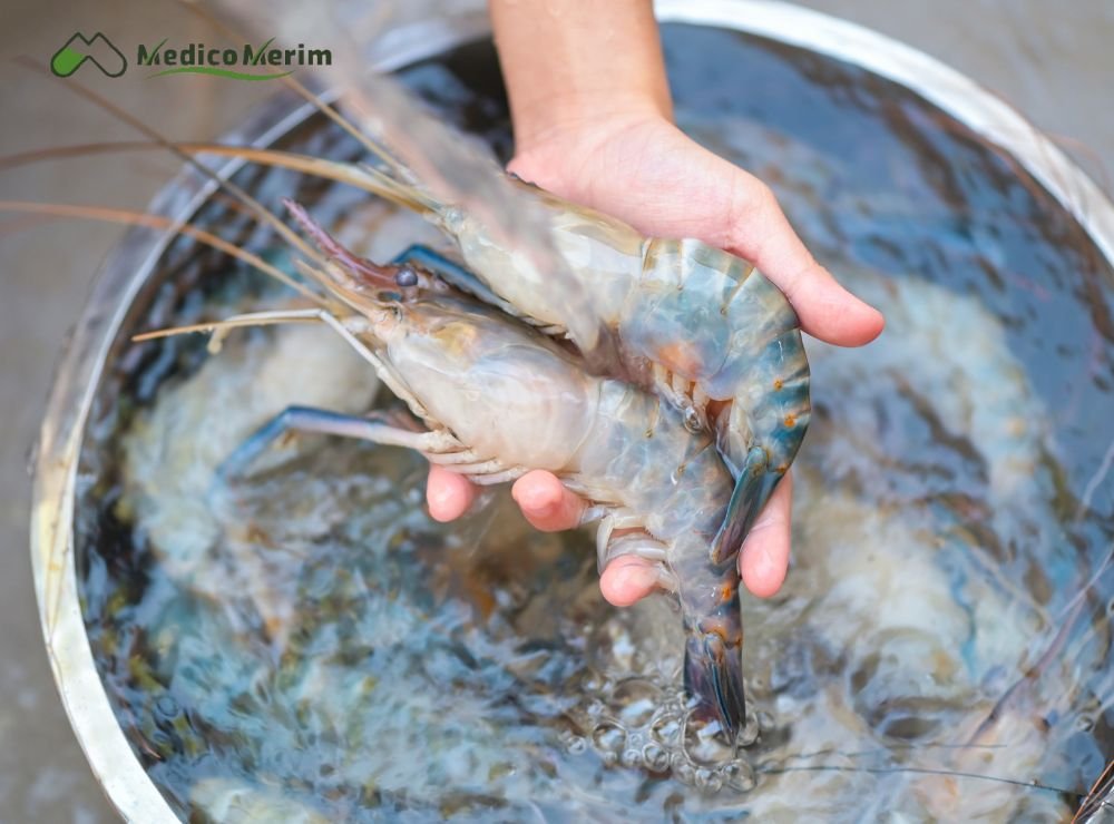 Aquaculture Health Products