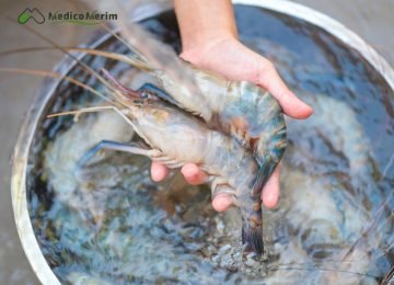 Su Ürünleri Sağlığı